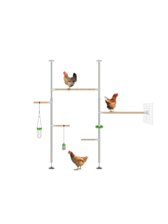 PoleTree Hühnerstangen - Das Hensemble Set - 1,70 - 2,15m