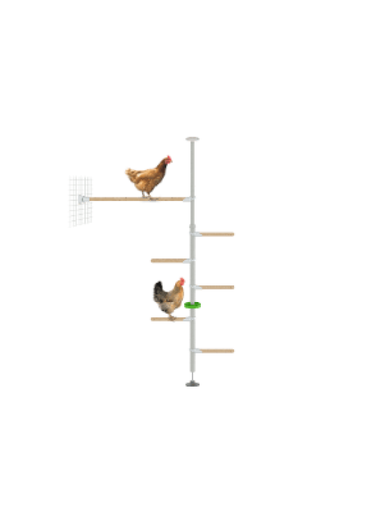 PoleTree Hühnerstangen - Das Hendurance Set - 1,70 - 2,15m
