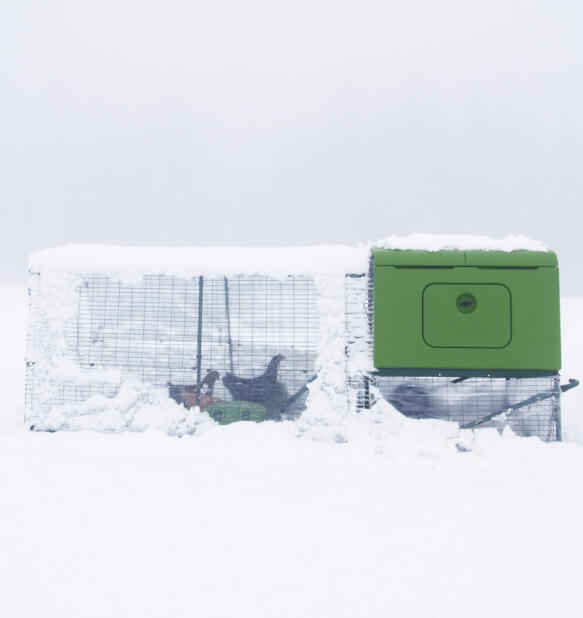 Eglu Cube hühnerstall im Snow