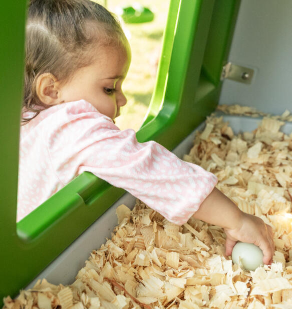 Kleines mädchen greift in einen nistkasten, um ein ei zu holen