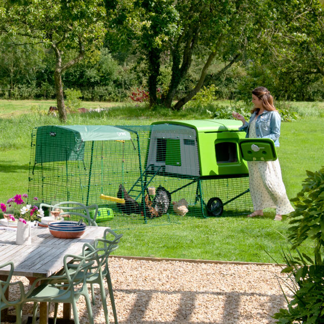 Frau greift in den Eglu Cube hühnerstall, um die eier in einem garten herauszuholen