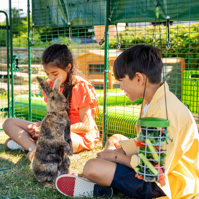 Kinder und kaninchen spielen in einem großen kaninchenstall im freien