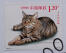 Eine briefmarke aus china mit dem aufdruck einerGon li cat