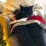 Schwarze katze sitzt auf Luxury katze weihnachtsdecke auf person