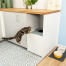 Katze springt auf Maya top entry katzenklo