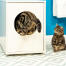 Katze klettert in Maya katzenklo möbel mit einer anderen katze beobachten Katze klettert in Maya katzenklo möbel mit einer anderen katze beobachten