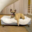 Hund liegt auf Omlet Topology hundebett mit schaffellauflage und runden holzfüßen