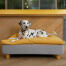 Hund liegt auf Omlet Topology hundebett mit sitzsackauflage und runden holzfüßen