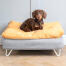 Dackel sitzend auf Omlet Topology hundebett mit sitzsack-topper und weißen haarnadelfüßen
