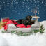 Schwarzer labrador auf einem grauen memory-foam-rollenbett in einer weihnachtlich gestalteten umgebung