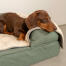 Mit der luxuriösen, superweichen Hundedecke wird Ihr Hund entspannt und tief schlafen.