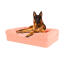 Hund sitzt auf pfirsich rosa großen speicher schaumstoff nackenrolle hundebett