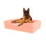 Hund sitzt auf pfirsich rosa großen speicher schaumstoff nackenrolle hundebett Hund sitzt auf pfirsich rosa großen speicher schaumstoff nackenrolle hundebett