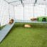 Omlet Zippi meerschweinchenlaufstall mit Zippi plattformen, grünem Zippi unterstand und meerschweinchen