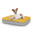 Hund sitzt auf kleinem Topology hundebett mit sitzsackauflage