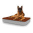 Hund sitzt auf großem Topology hundebett mit mikrofaserauflage Hund sitzt auf großem Topology hundebett mit mikrofaserauflage