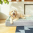 Die hochwertige Memory-Foam Matratze stützt Ihren Hund, während er ruht, und schmiegt sich für zusätzlichen Komfort um den Körper.