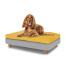 Kleiner hund sitzt auf einem mittelgroßen Topology hundebett mit sitzsackauflage und runden holzfüßen