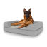 Hund sitzt auf großem Topology hundebett mit nackenrolle Hund sitzt auf großem Topology hundebett mit nackenrolle