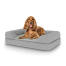 Hund sitzt auf einem mittelgroßen Topology hundebett mit nackenrolle Hund sitzt auf einem mittelgroßen Topology hundebett mit nackenrolle