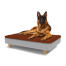 Hund sitzt auf einem großen Topology hundebett mit mikrofaserauflage und runden holzfüßen Hund sitzt auf einem großen Topology hundebett mit mikrofaserauflage und runden holzfüßen