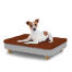 Hund sitzt auf einem kleinen Topology hundebett mit mikrofaserauflage und runden holzfüßen