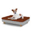 Hund sitzt auf einem kleinen Topology hundebett mit mikrofaserauflage und runden holzfüßen Hund sitzt auf einem kleinen Topology hundebett mit mikrofaserauflage und runden holzfüßen