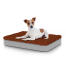 Hund sitzt auf kleinem Topology hundebett mit mikrofaser-topper