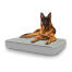 Hund sitzt auf großem Topology hundebett mit gestepptem topper