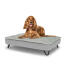 Hund sitzt auf einem mittelgroßen Topology hundebett mit gestepptem topper und schwarzen metall-haarnadelfüßen Hund sitzt auf einem mittelgroßen Topology hundebett mit gestepptem topper und schwarzen metall-haarnadelfüßen
