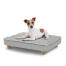 Hund sitzt auf einem kleinen Topology hundebett mit gestepptem topper und runden holzfüßen
