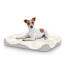 Hund sitzend auf kleinem Topology hundebett mit schafsfellauflage