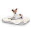 Hund sitzend auf kleinem Topology hundebett mit schafsfellauflage Hund sitzend auf kleinem Topology hundebett mit schafsfellauflage