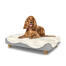 Hund sitzt auf einem mittelgroßen Topology hundebett mit schafsfellauflage und runden holzfüßen Hund sitzt auf einem mittelgroßen Topology hundebett mit schafsfellauflage und runden holzfüßen