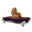 Cocker im mittleren Topology hundebett Cocker im mittleren Topology hundebett