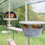 Katzen spielen im Omlet kratzbaumsystem für draußen im Omlet catio