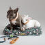 Bulldoggen in einem designer-hundebett mit kleinen kissen