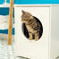 Katze klettert aus Maya katzenklo möbel Katze klettert aus Maya katzenklo möbel