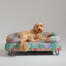 Ein Goldendoodle, der auf dem elektrischen hundebett von pawsteps ruht Ein Goldendoodle, der auf dem elektrischen hundebett von pawsteps ruht