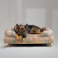 Ein deutscher schäferhund ruht sich im pawsteps natural bolster hundebett aus