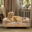 Ein Miniatur Golden Retriever entspannt sich auf dem Hundesofa mit dem Motiv Pawsteps Natural