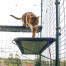 Katze läuft auf blauem outdoor-katzenregal in catio outdoor-auslauf mit entwässerungslöchern sichtbar Katze läuft auf blauem outdoor-katzenregal in catio outdoor-auslauf mit entwässerungslöchern sichtbar