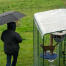 Besitzer mit regenschirm neben der katze in einem auslauf mit durchsichtiger abdeckung