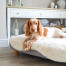Topology hundebett mit weißem schafsfell-topper