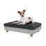 Jack russell im kleinen Topology hundebett Jack russell im kleinen Topology hundebett