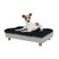 Jack russell im kleinen Topology hundebett Jack russell im kleinen Topology hundebett