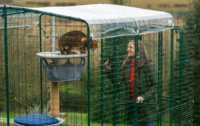 Die Besitzerin interagiert mit ihrer Katze in einem Omlet Walk In Auslauf mit klarem Wetterschutz.