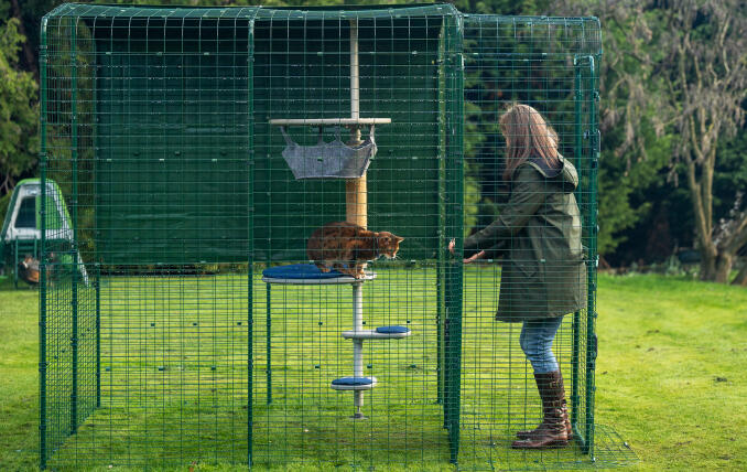 Die Besitzerin öffnet die Tür ihres anpassbaren Outdoor-Katzenauslaufs.