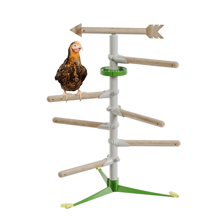 Freistehendes Hühnerstangensystem - Das Hühner-Abenteuer-Set