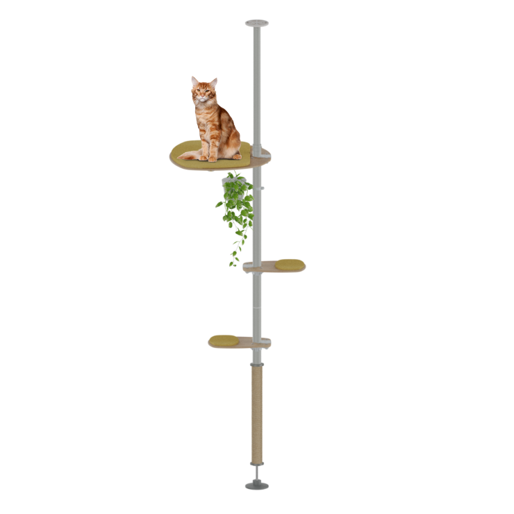 Freestyle - Das Top Cat Set - 2,15m bis 2,60m